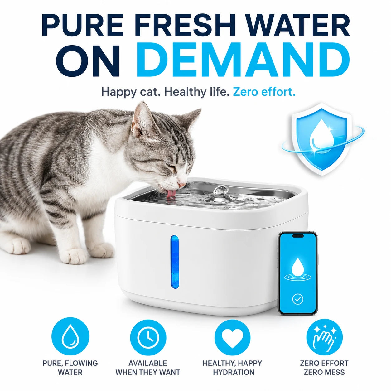 AquaPurr