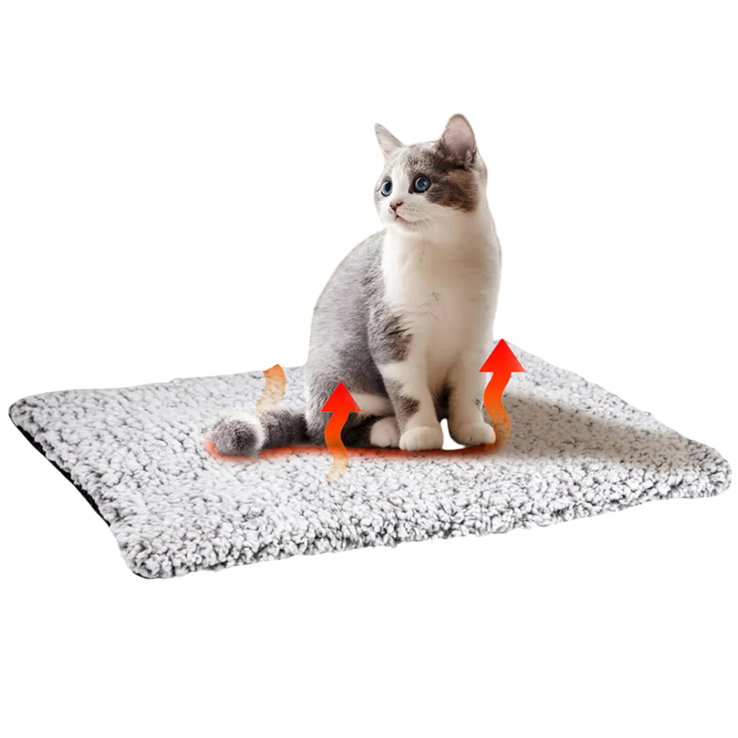 PurrNest